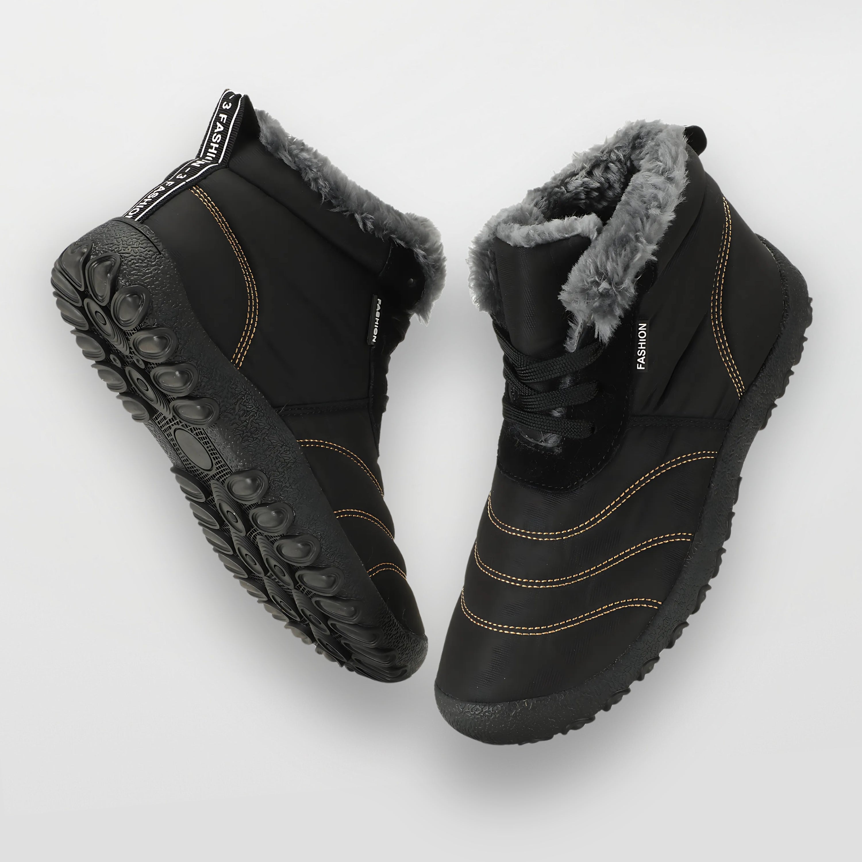 Winter Pro 2.0